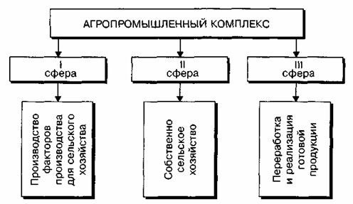 Реферат: Аграрно-промышленный комплекс