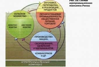 Состав Агропромышленного Комплекса России